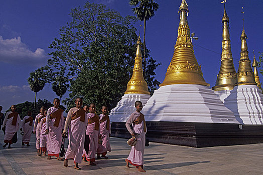 缅甸,仰光,大金塔,佛教,女僧侣