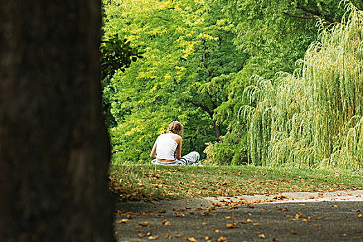 坐,女人,公园,后视图