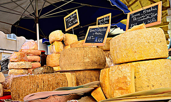 多样,奶酪,市场货摊,巴拉涅,科西嘉岛,法国,欧洲