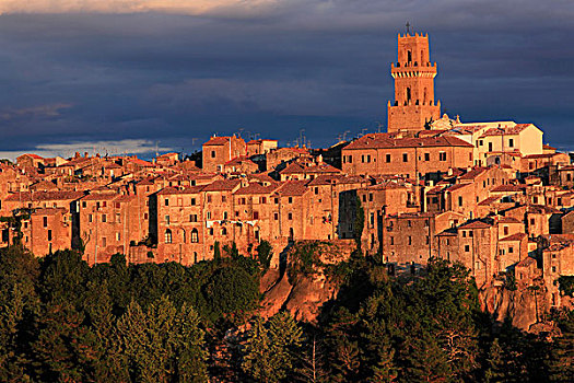 风景,橄榄,树,中世纪,城镇,皮蒂利亚诺,位于,火山,石灰石,高原,钟楼,右边,夜光,托斯卡纳,意大利,欧洲