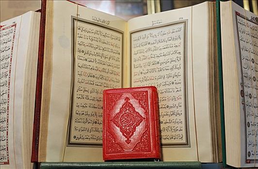小,红色,书本,按压,正面,翻开,可兰经,集市,伊斯坦布尔,土耳其