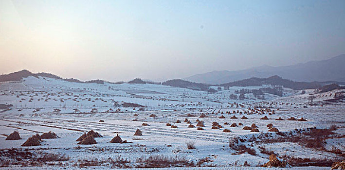 雪野,北方,东北,大雪,原野,土地,冬季,洁白,干净,风景,村庄,农村