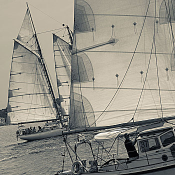 马萨诸塞,纵帆船,节日,帆船,大幅,尺寸