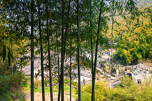 奉化,里村,山村,古村,房子,天空