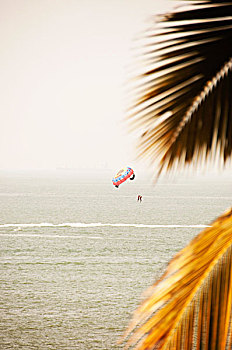 人,滑伞运动,上方,海洋,果阿,印度