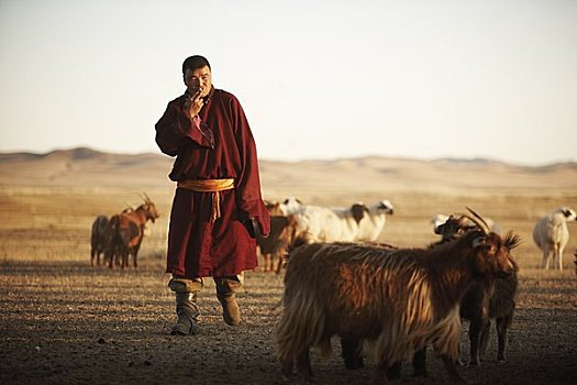 牧羊人,山羊,国家公园,蒙古