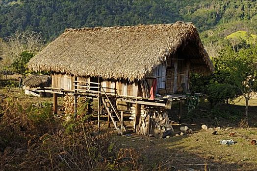 传统,竹子,农舍,少数民族,克钦邦,缅甸,亚洲