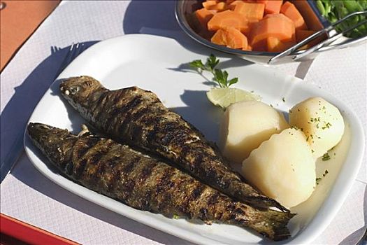 烤制食品,鲑鱼,马德拉岛