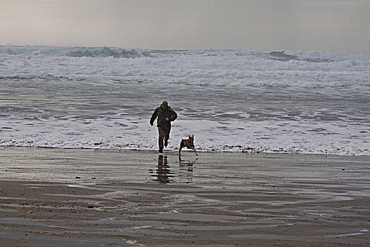 男人,狗,跑,自由,海浪,环太平洋国家公园,温哥华岛,不列颠哥伦比亚省