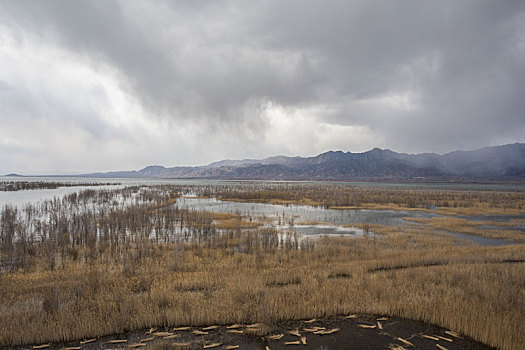 北京延庆野鸭湖