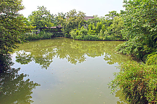 杭州,西溪,湿地,旅游,景点,水乡