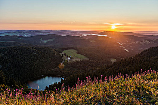 日出,风景,东方,黑森林,巴登符腾堡,德国,欧洲