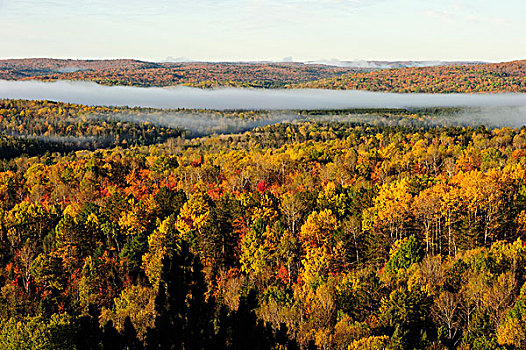 彩色,秋天,树林,高处,阿尔冈金省立公园,安大略省,加拿大