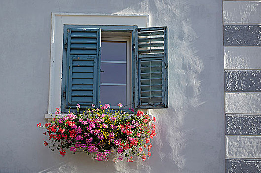 窗户,花,卡林西亚,奥地利,欧洲