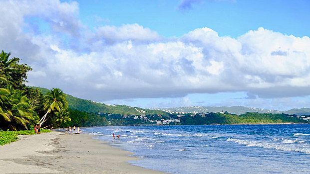 加勒比马提尼克钻石湾海滩