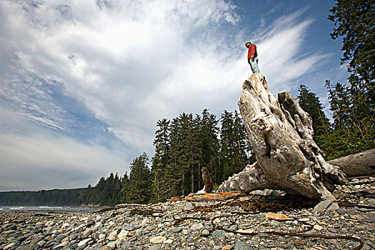 一个,男人,站立,大,流动,原木,温哥华岛,不列颠哥伦比亚省,加拿大