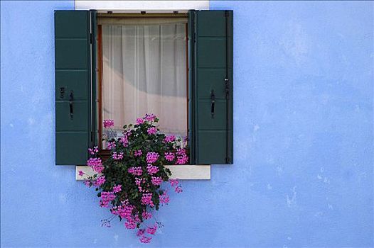 窗户,布拉诺岛,威尼斯,意大利,欧洲
