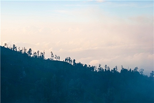 风景,树林,剪影,印度尼西亚