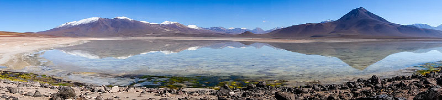 清晰,高原,泻湖,全景,玻利维亚