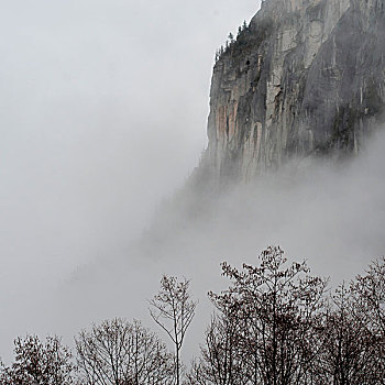 悬崖,围绕,雾,省立公园,不列颠哥伦比亚省,加拿大