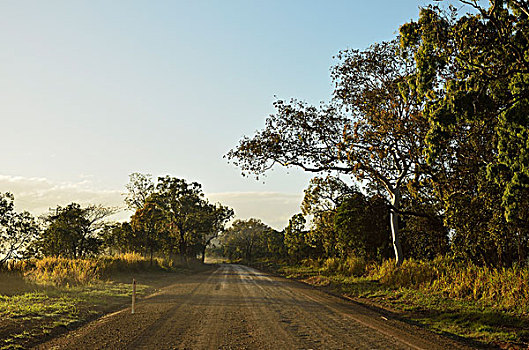 乡间小路,昆士兰,澳大利亚