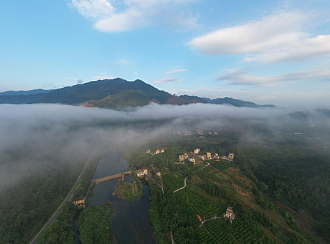 广西蒙山,生态宜居乡村美如画