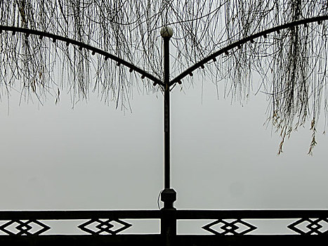 大雾笼罩的扶栏路灯垂柳