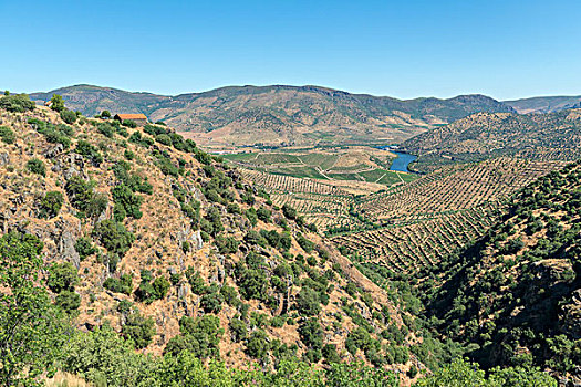 葡萄牙,风景,河谷,大幅,尺寸