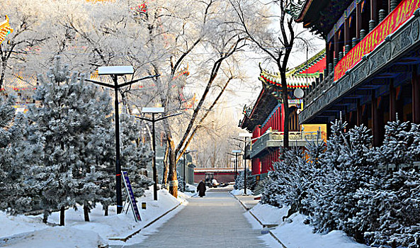 黑龙江大庆,油城雾凇美景