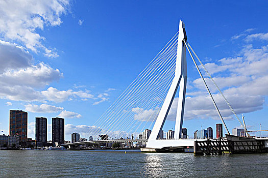 伊拉斯谟斯桥,桥,全景,正面,天际线,鹿特丹,荷兰,欧洲