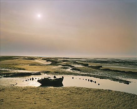 日落,海洋,木料,圆,诺福克,1999年,艺术家,未知