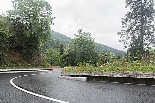 鲜花公路