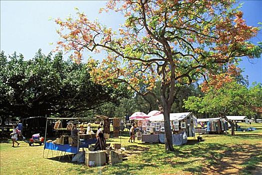 夏威夷,瓦胡岛,怀基基海滩,卡皮奥拉妮,公园,工艺,市集,秋天,树,蓝天