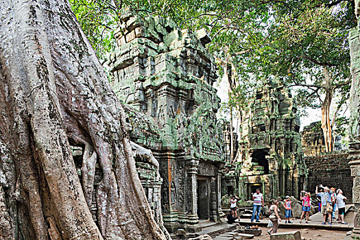柬埔寨,收获,吴哥,塔普伦寺,庙宇