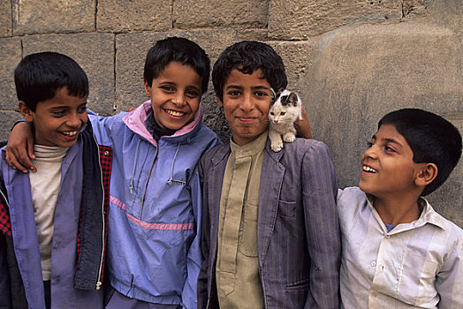 也门,老城,青少年,男孩,猫,小猫