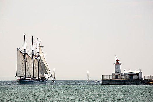 高桅横帆船,帆,灯塔,港口,安大略省,加拿大
