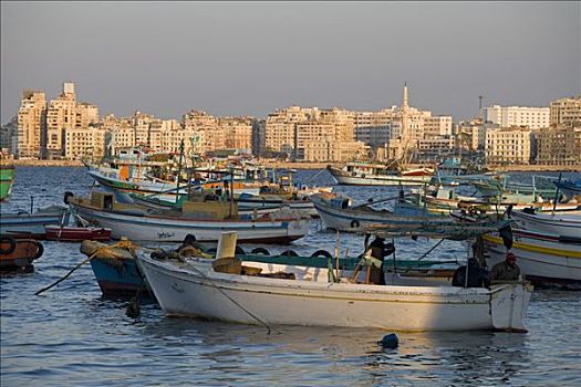 渔船,亚历山大,埃及