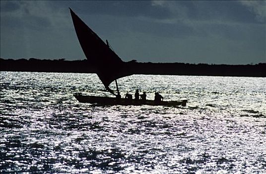 坦桑尼亚,桑给巴尔岛,独桅三角帆船,渔船