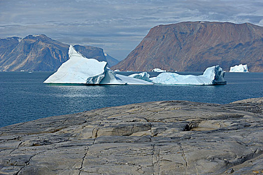 冰山,纳诺塔利克,峡湾,格陵兰