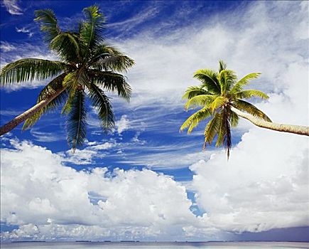 密克罗尼西亚,马绍尔群岛,环礁,两个,椰树,泻湖,蓝天,云