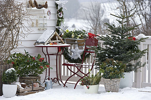 冬天,露台,针叶树,喂鸟器,房子,雪,花环