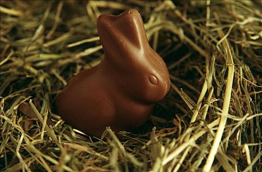 巧克力兔