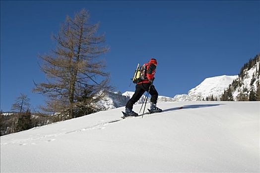 冬季风景,高山牧场,一个,男人,上奥地利州