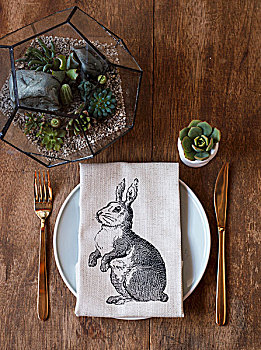 亚麻布,餐巾,兔子,创意,餐具摆放,微型,动植物培养箱,多汁性,蛋杯,木桌子