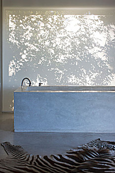 浴缸,斑马纹,地毯,现代,浴室