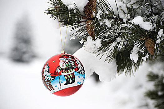 彩色,圣诞饰品,悬挂,积雪,枝条
