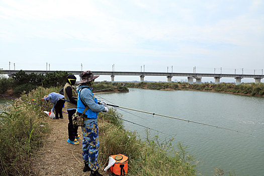 付疃河湿地公园成垂钓乐园,市民挥杆垂钓乐享假期