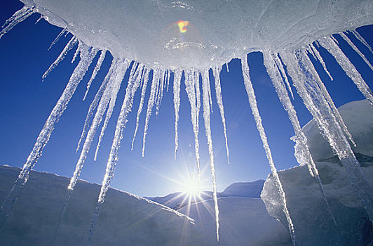 冰柱,悬挂,冰山,湖,阿拉斯加