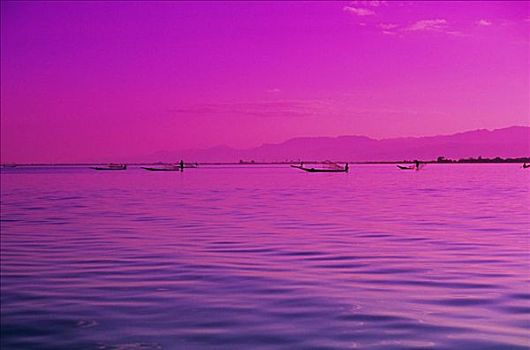 缅甸,茵莱湖,粉色,紫色,日落,反射,波纹,水,捕鱼者,远景