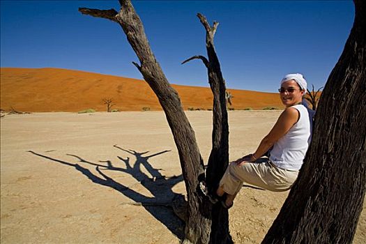 坐,女人,拖拉,树干,死亡谷,纳米比亚,非洲